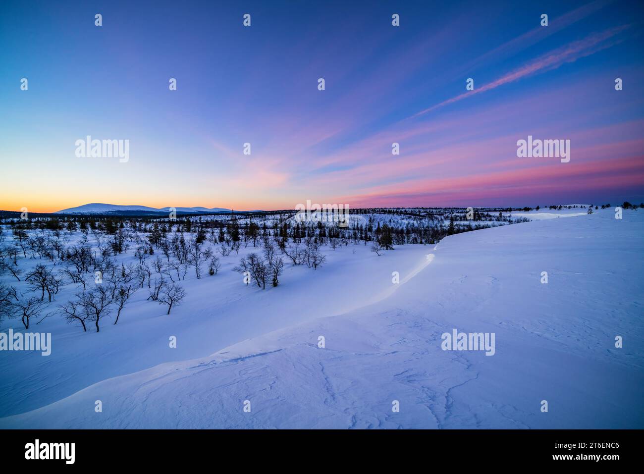 Frenata all'alba a Pahakuru capanna aperta deserto, Muonio, Lapponia, Finlandia Foto Stock