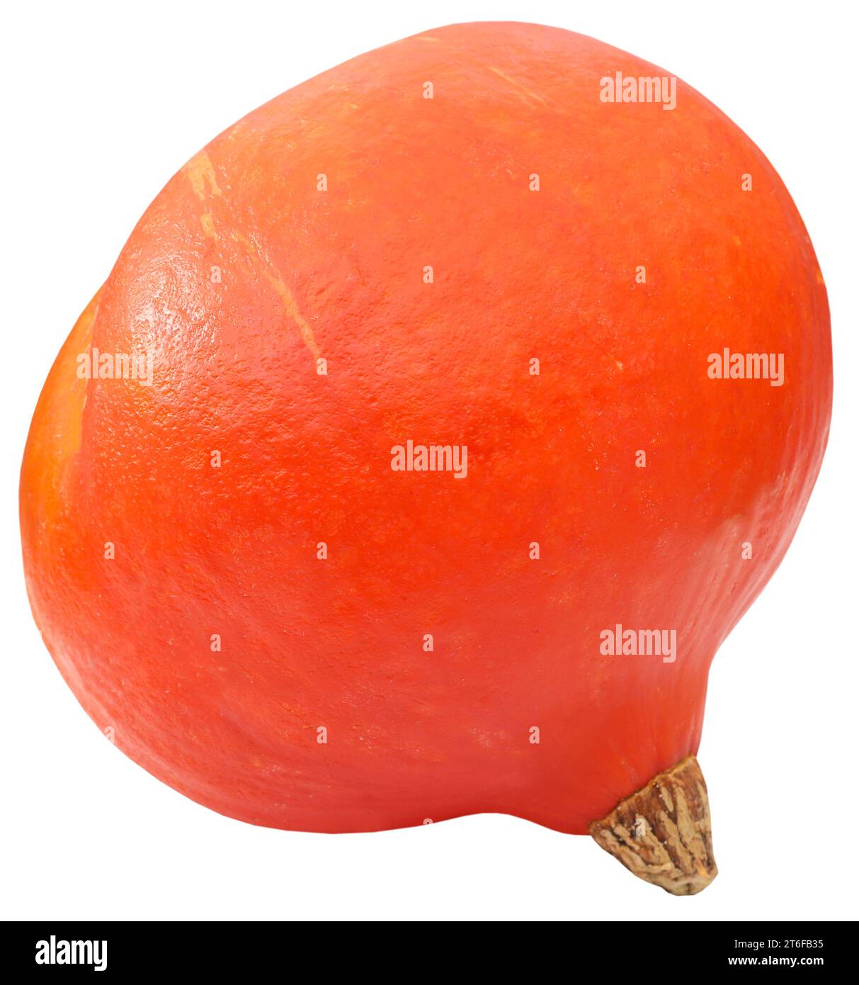 Primo piano di zucca Hokkaido biologica fresca e isolata Foto Stock