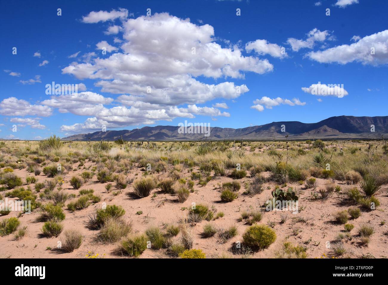 deserto e montagne vicino a terra zero in una giornata di sole al sito trinity, new mexico, Foto Stock