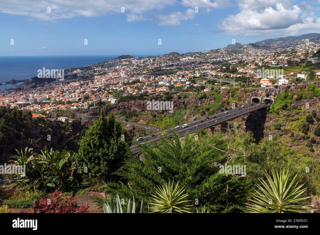 Vista dal giardino botanico di Funchal, Jardim Botanico, alla città di Funchal, Madeira, Portogallo Foto Stock