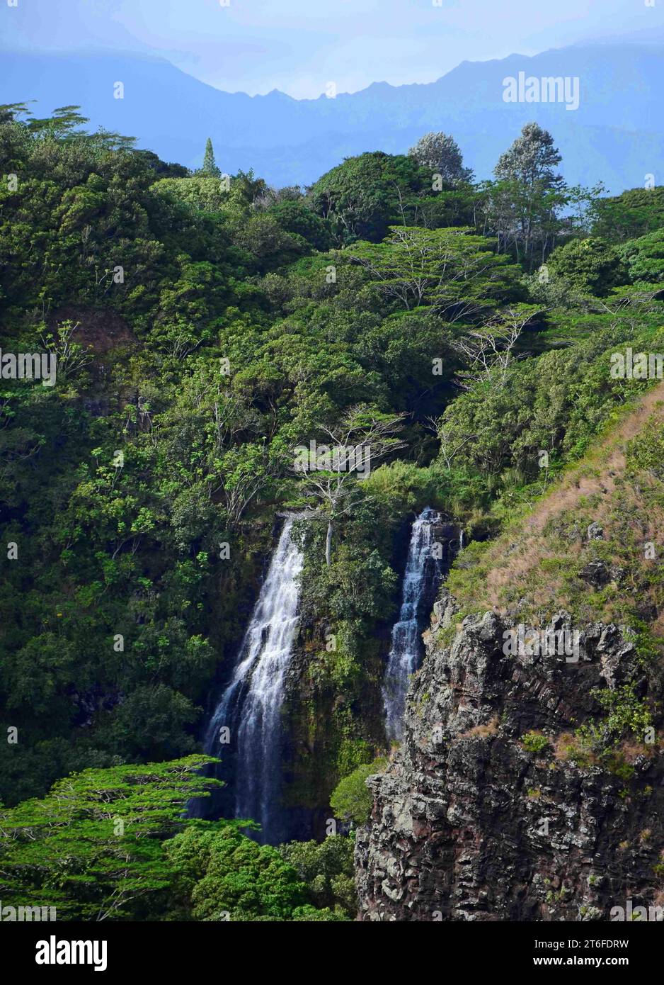 le doppie cascate opaekaa nel parco statale del fiume wailua dalla strada kuamo'o che si affaccia a kauai. hawaii Foto Stock