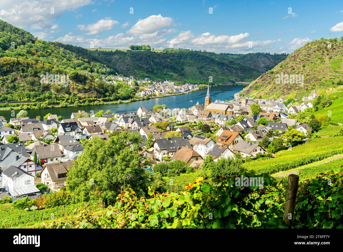 Vista sulla città di Alken, sulla valle della Mosella con il fiume Mosella, sulla Renania Palatinato, Germania Foto Stock