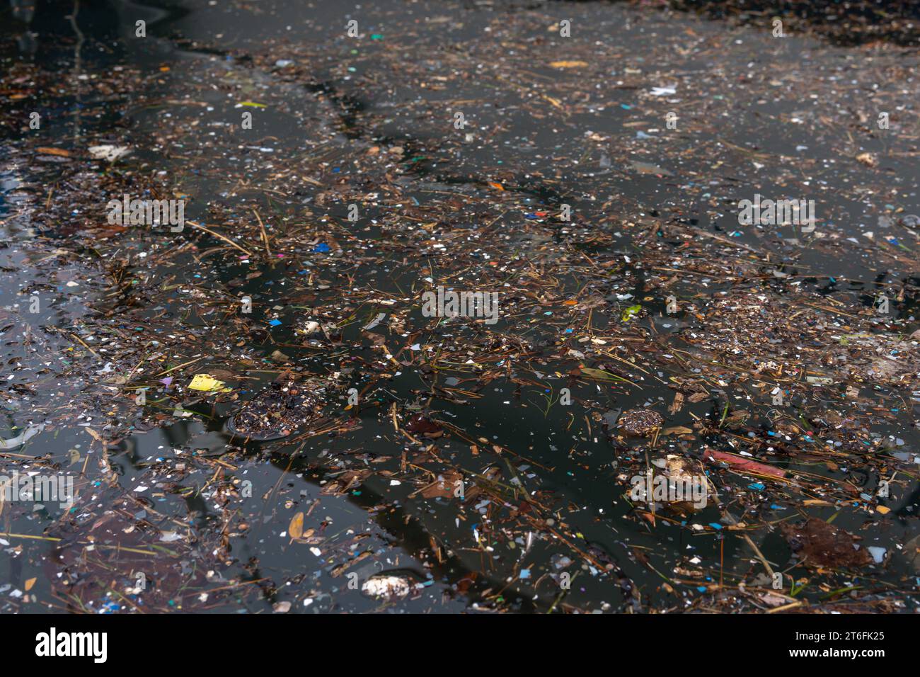 Primo piano del riflesso del mare in un porto con pezzi di plastica e alghe marine. Immagine concettuale dell'inquinamento marino Foto Stock