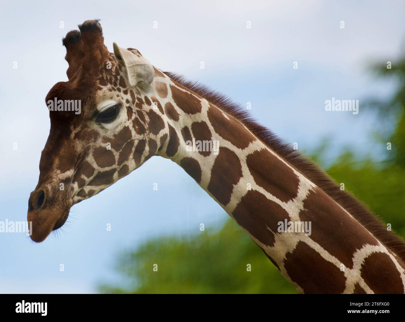 James David Allen Photography Foto Stock