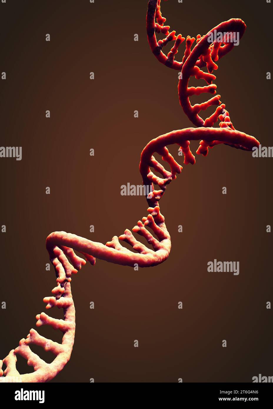 Molecola a filamento singolo di RNA chiamata acido ribonucleico messaggero - illustrazione 3d. Foto Stock