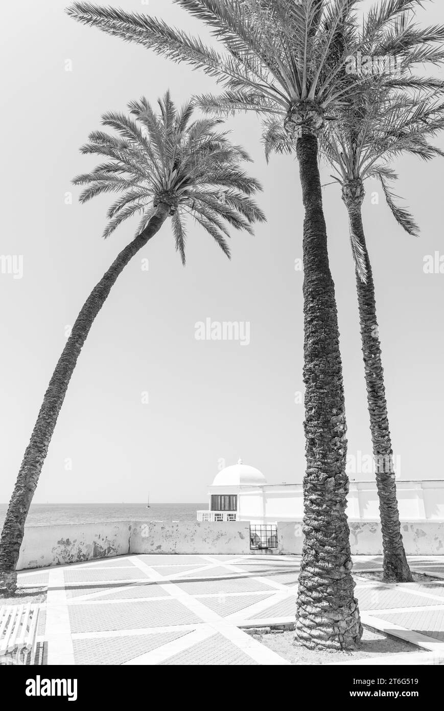 Lungomare di Cadice, Andalusia, Spagna Foto Stock