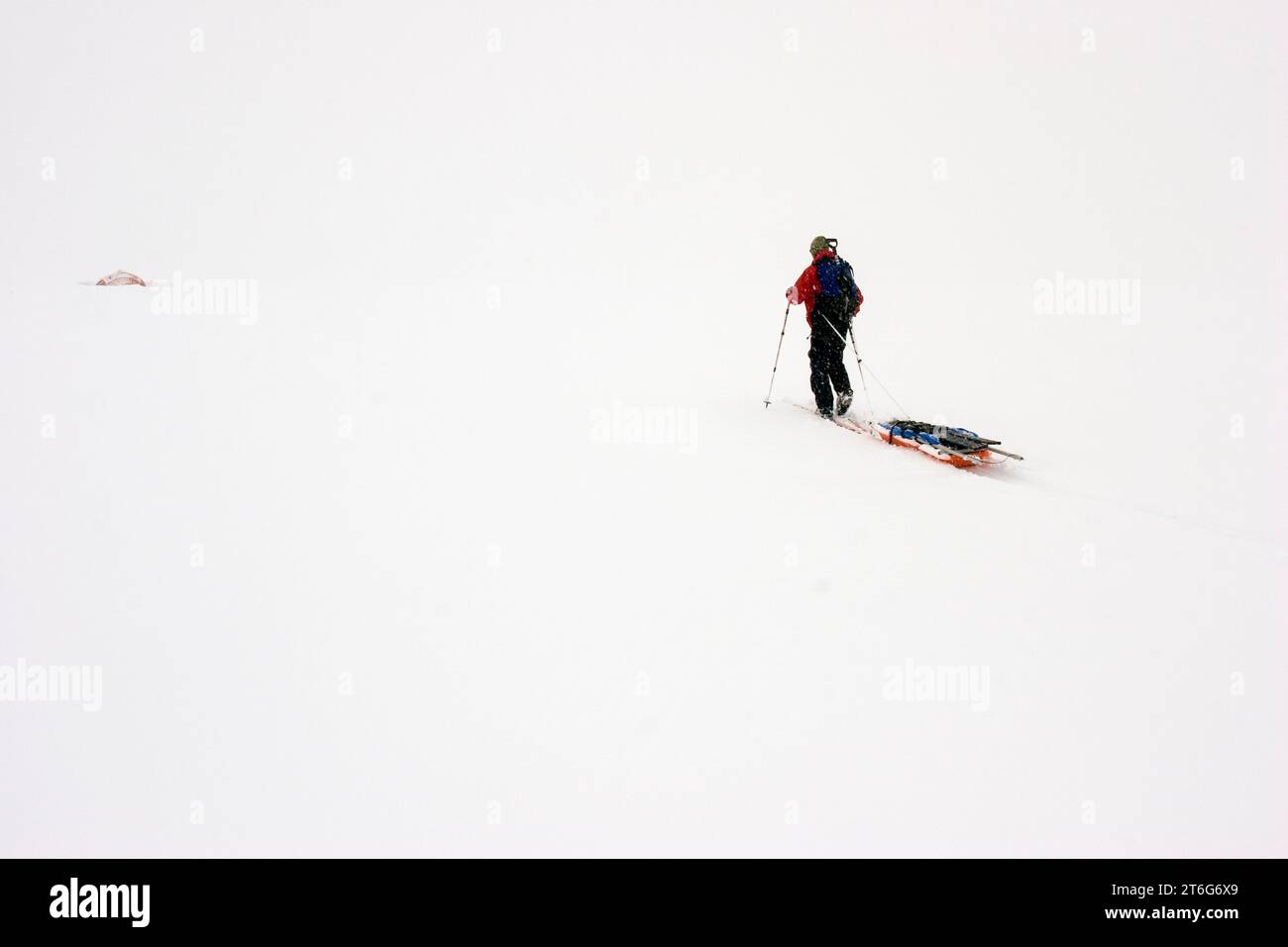 Glacier geologia dottorando sci attraverso il ghiacciaio di Brady durante whiteout condizioni di Blizzard, tirando una slitta di geofisiche Foto Stock