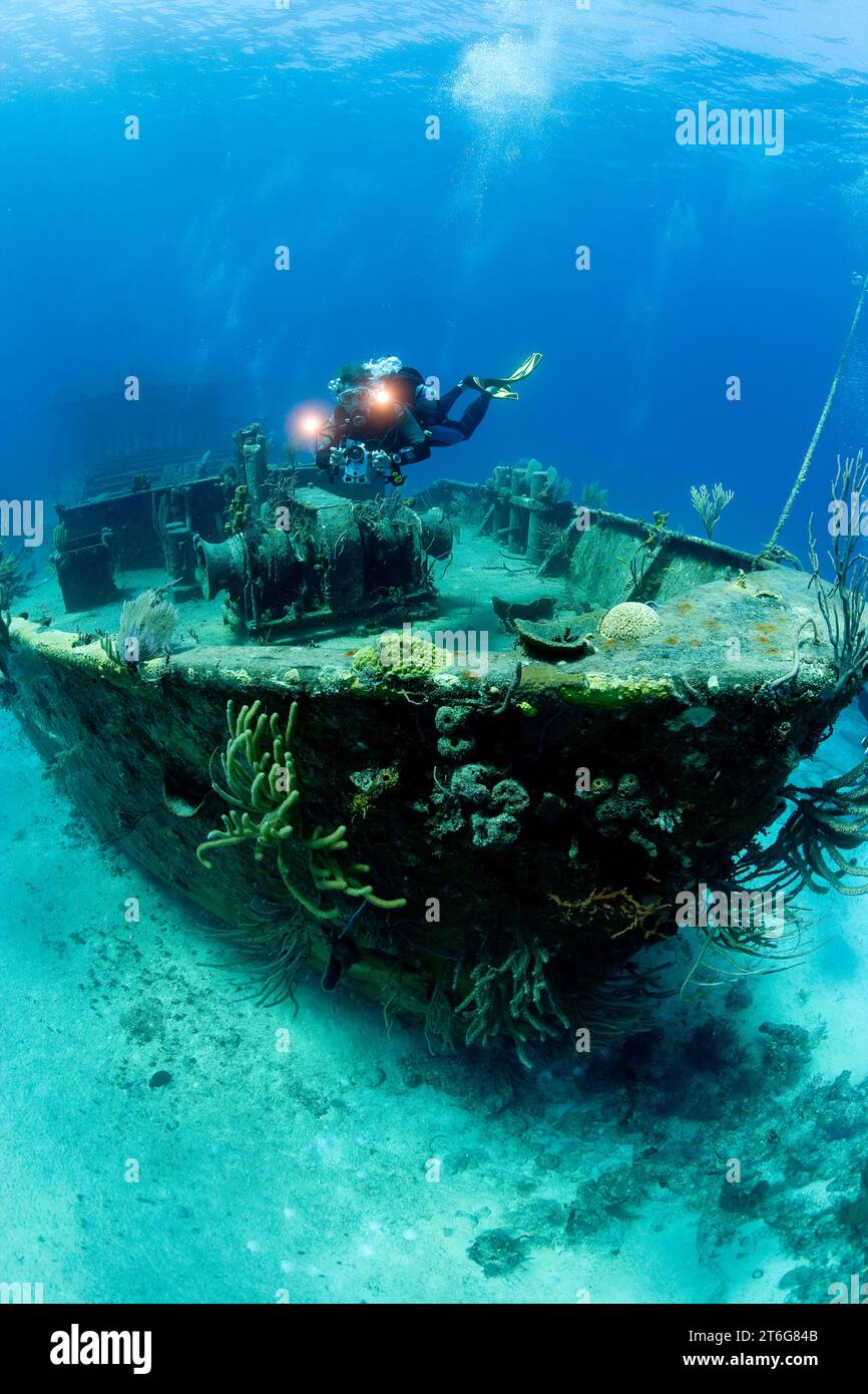 Videografo subacqueo sul naufragio, New Providence, Bahamas. Foto Stock