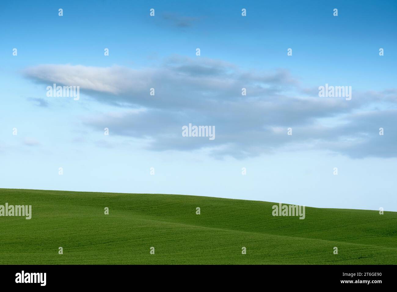 Paesaggio di prati verdi e tranquilli all'orizzonte e cielo blu con nuvole. Foto Stock