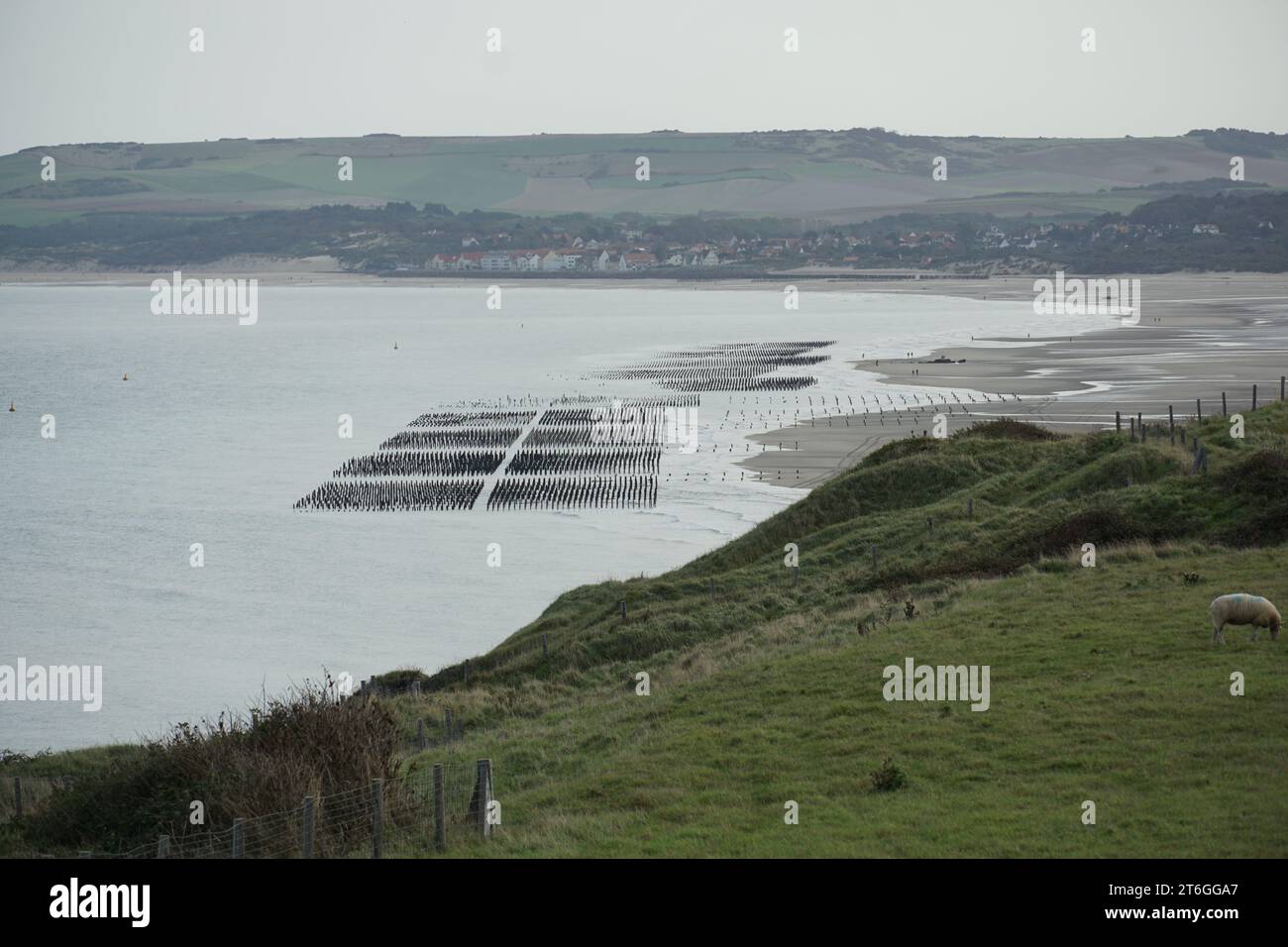 Relitto del Lord Gray, Tardinghen, Opal Coast, Pas-de-Calais, Francia Foto Stock