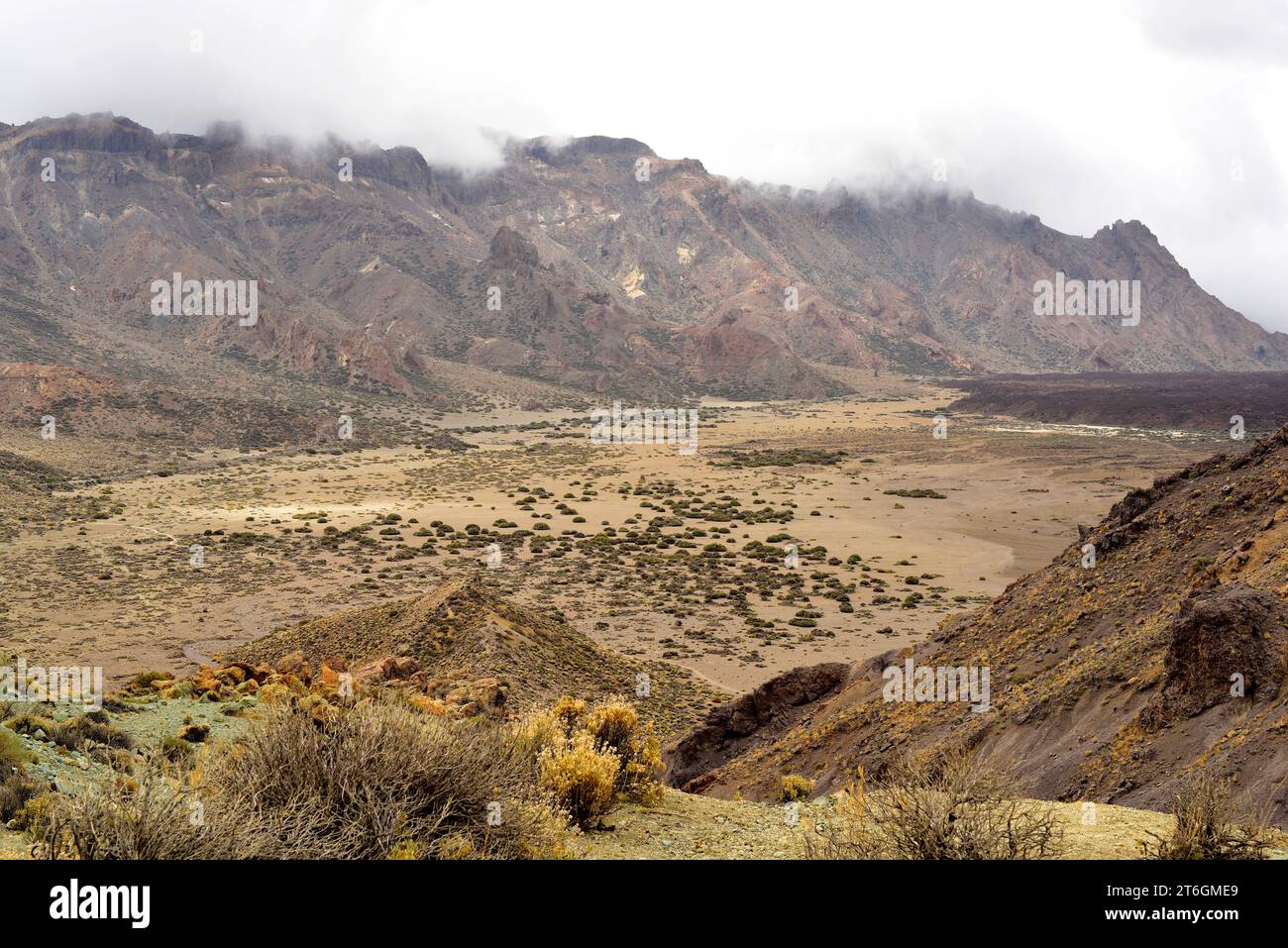 Parco nazionale Cañadas del Teide, Llanos de Ucanca. Tenerife, Isole Canarie, Spagna. Foto Stock