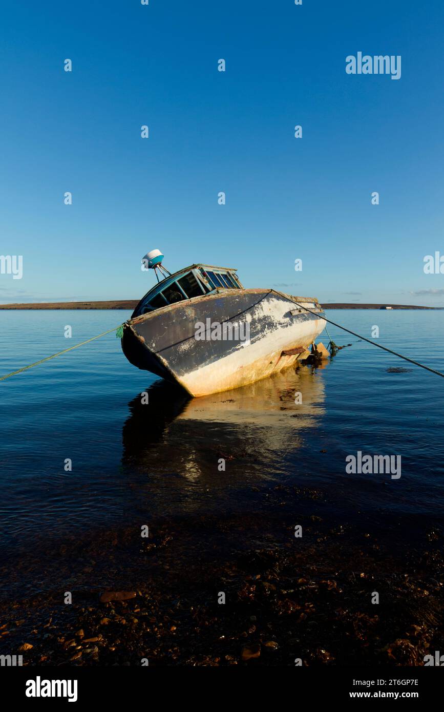 Barca di legno abbandonata, Isole Orcadi Foto Stock