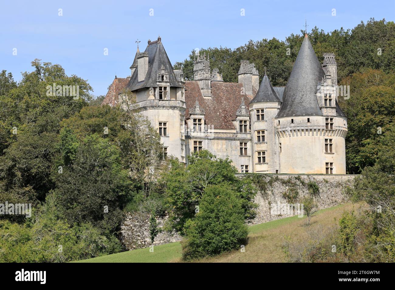 Castello di Puyguilhem. Nella campagna del Périgord Vert, il Château de Puyguilhem, costruito nel XVI secolo, ha uno stile rinascimentale simile a quello del Foto Stock