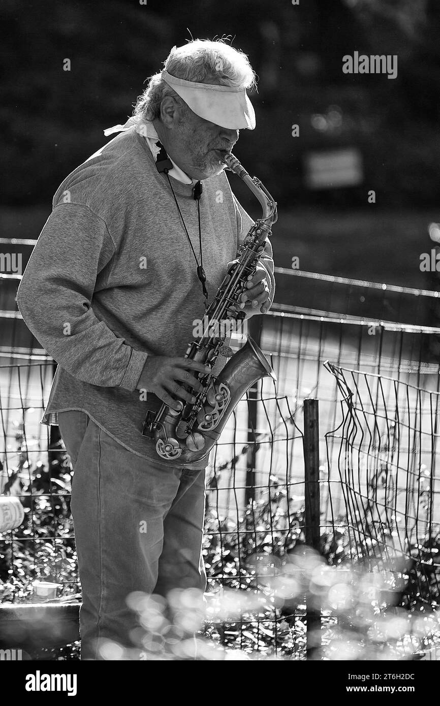 Foto in bianco e nero di Un uomo che interpreta il sassofono (Busking) a Central Park, New York, Stati Uniti. Foto Stock