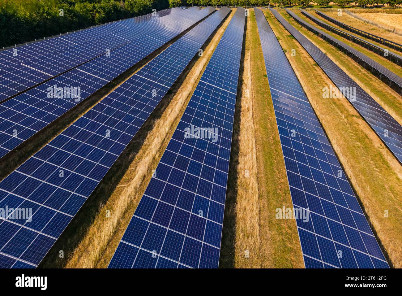 Area aperta con collettori solari di un parco solare su un campo agricolo nella transizione energetica in Germania Foto Stock