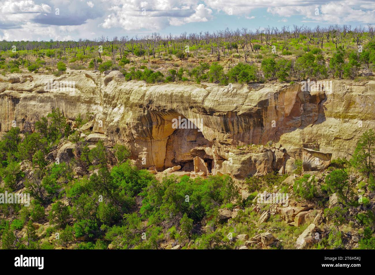 Mesa verde Foto Stock