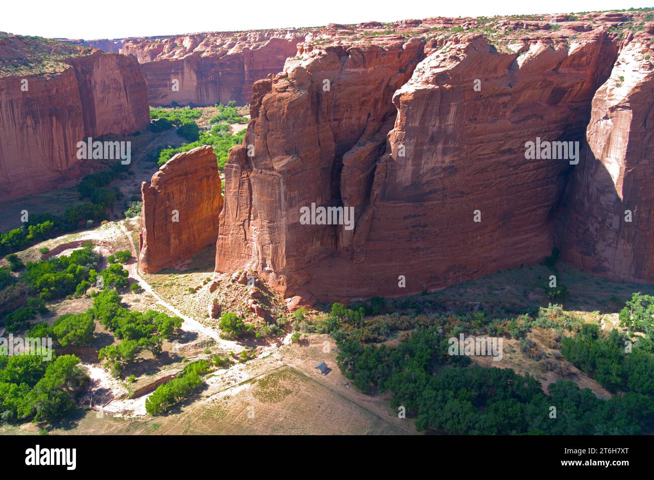 Parco nazionale del Bryce Canyon (UT) Foto Stock