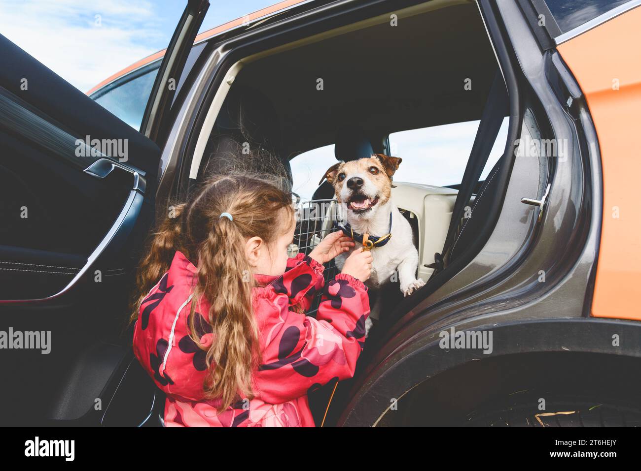 La ragazza fissa il guinzaglio al collare del cane prima di lasciare un cane dall'auto di car sharing Foto Stock