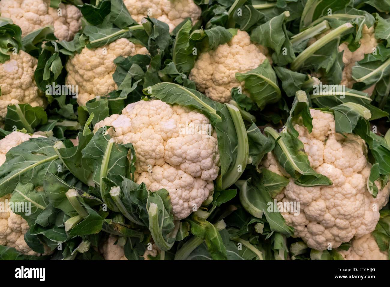 I capi locali di cavolfiore in un supermercato a New York venerdì 27 ottobre 2023. (© Richard B. Levine) Foto Stock