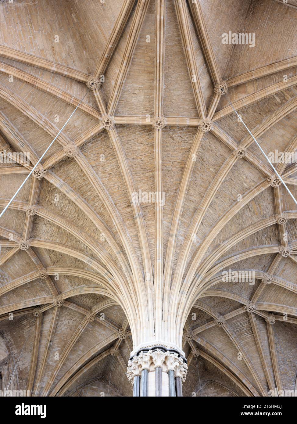 A volta a ventaglio dal pilastro centrale nella casa capitolare della cattedrale cristiana medievale di Lincoln, in Inghilterra. Foto Stock