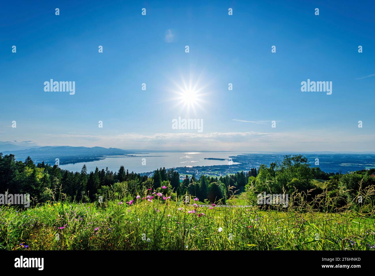 Vista del lago di Costanza contro la luce Foto Stock