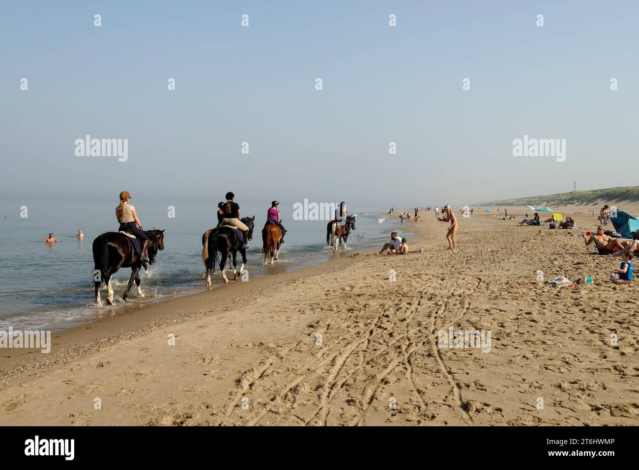 Equitazione sulla spiaggia di Noordwijk aan Zee, Olanda meridionale, Zuid-Holland, Mare del Nord, Benelux, paesi del Benelux, Paesi Bassi, Nederland Foto Stock