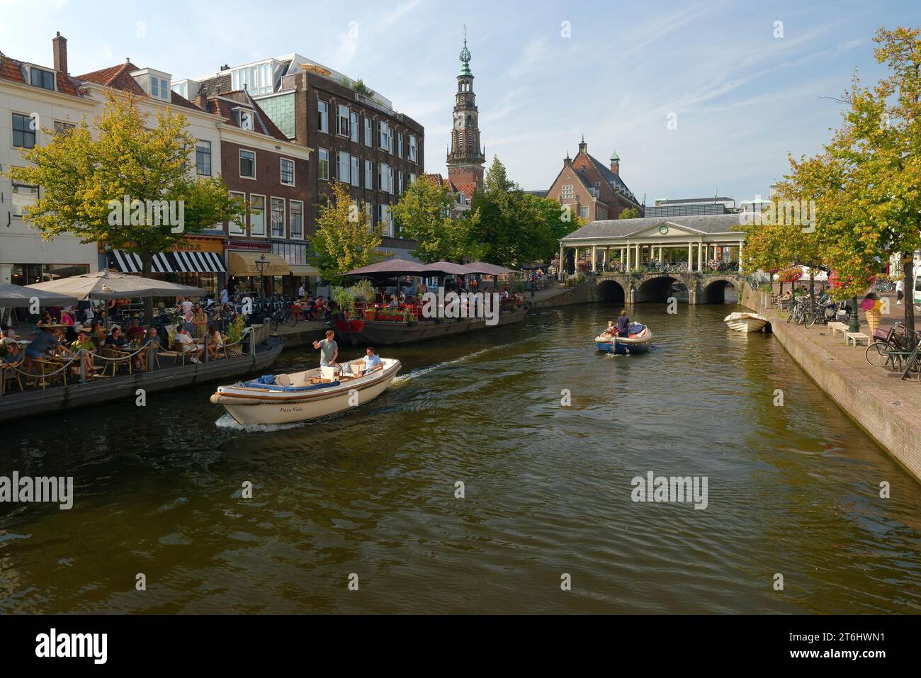 Vista su Nieuwe Rijn ai caffè e al municipio di Leida/Leida, Olanda meridionale, Zuid-Holland, Benelux, Benelux, Paesi del Benelux, paesi Bassi, Nederland Foto Stock