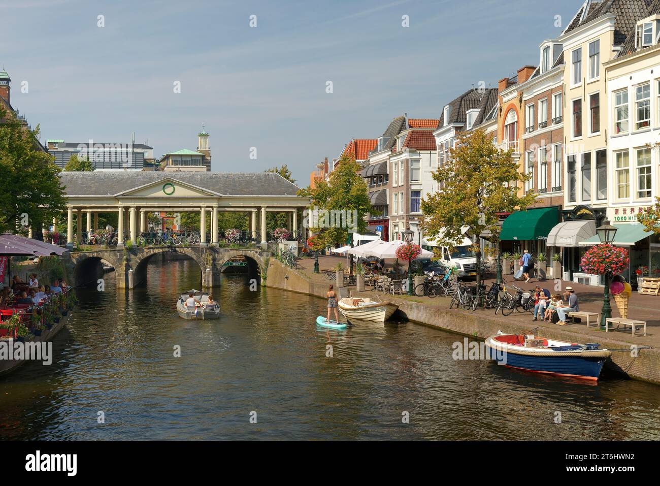 Vista sul Nieuwe Rijn fino al Koornbrug a Leida / Leida, Olanda meridionale, Paesi Bassi Zuid, Benelux, Benelux, Benelux, paesi Bassi, Nederland Foto Stock