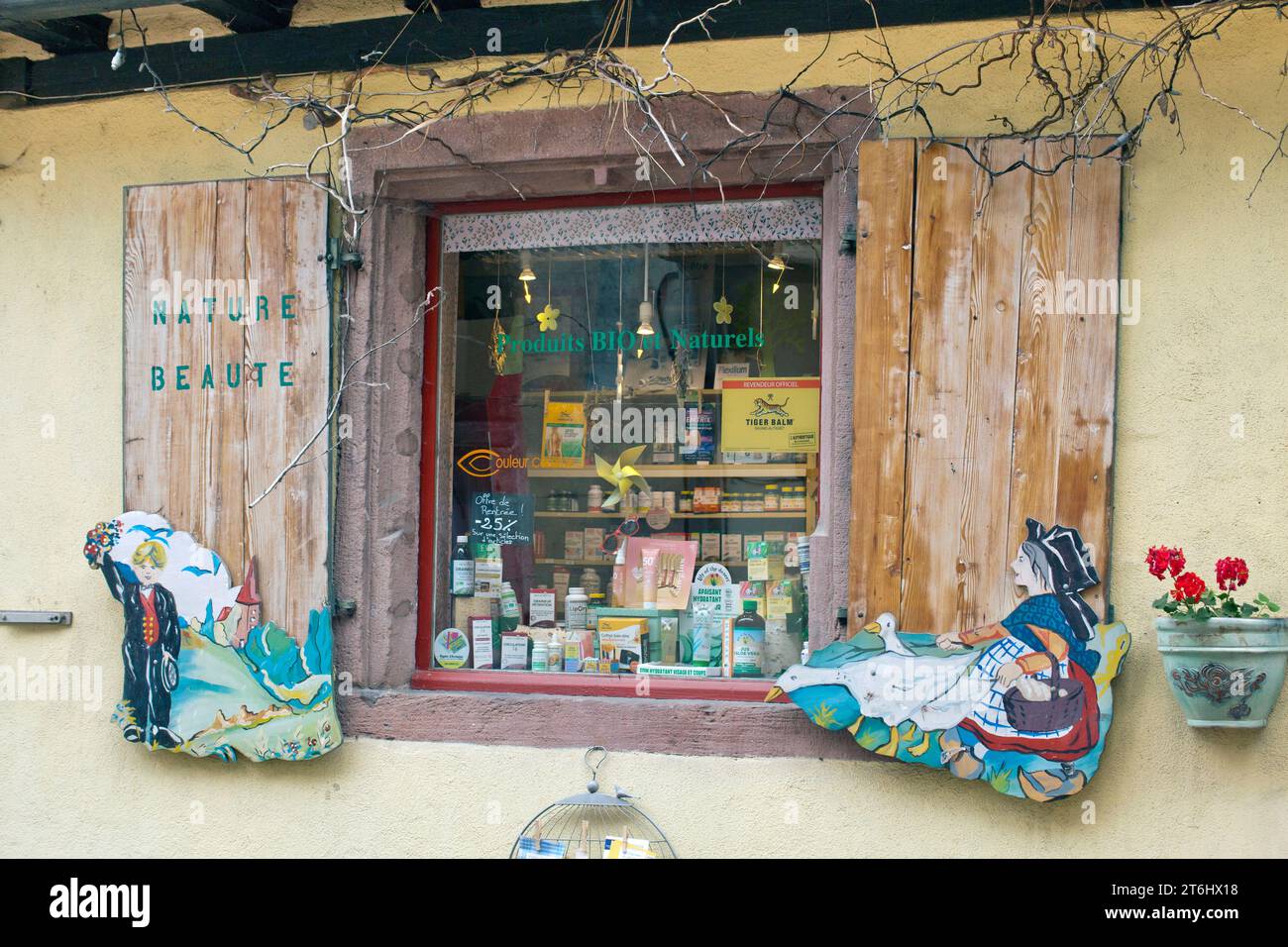 Esposizione per bambini e vetrina decorata per i prodotti naturali e biologici a Kaysersberg, Alsazia. Foto Stock