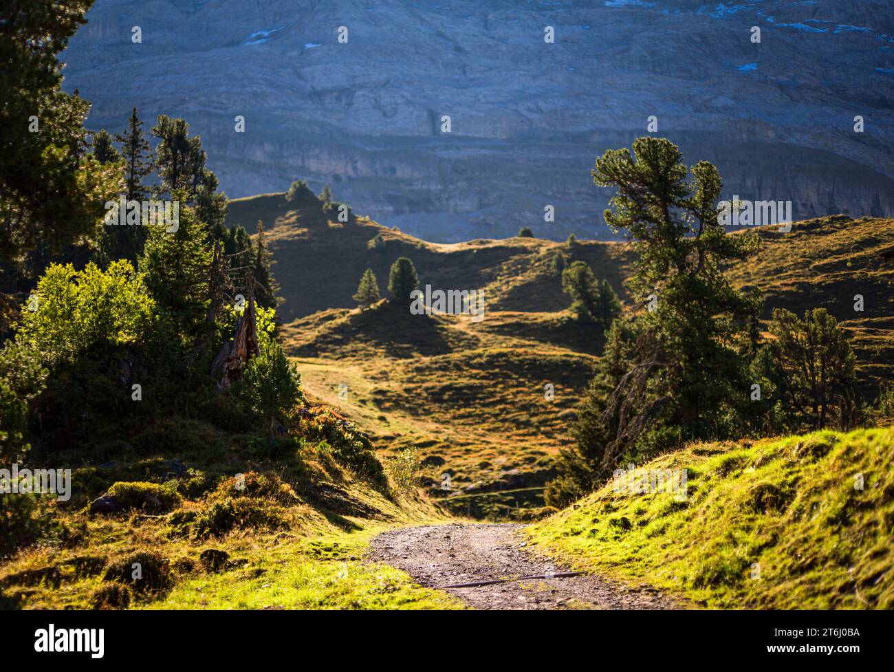 Il potere nelle Alpi svizzere Foto Stock