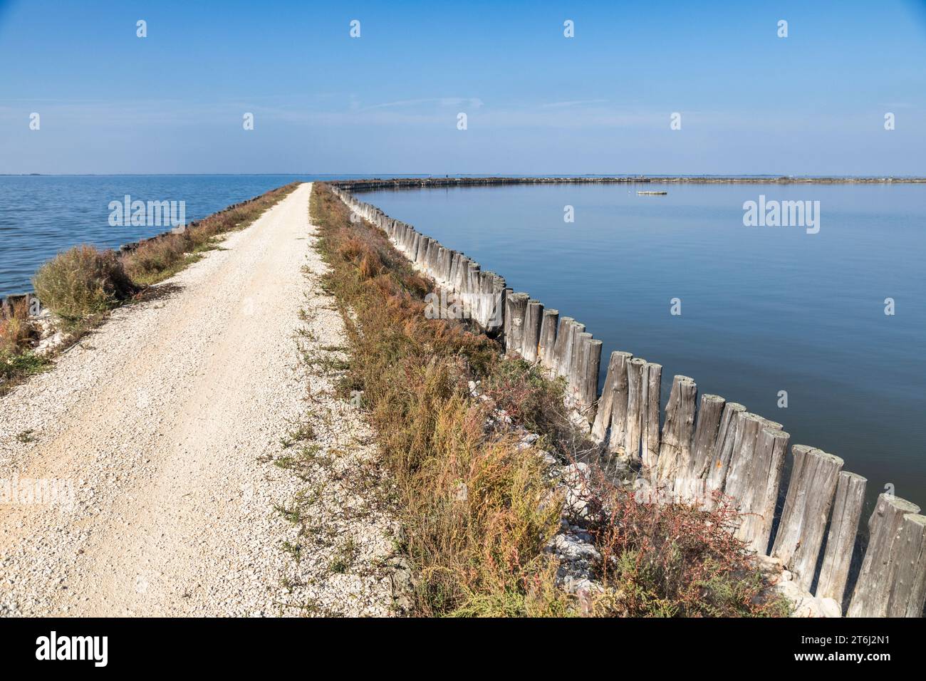 Italia, Emilia Romagna, Ravenna District, Parco del Delta del po, pista ciclabile delle valli Comacchio, caratteristico incrocio sul mare chiamato "Argine degli Angeli" Foto Stock