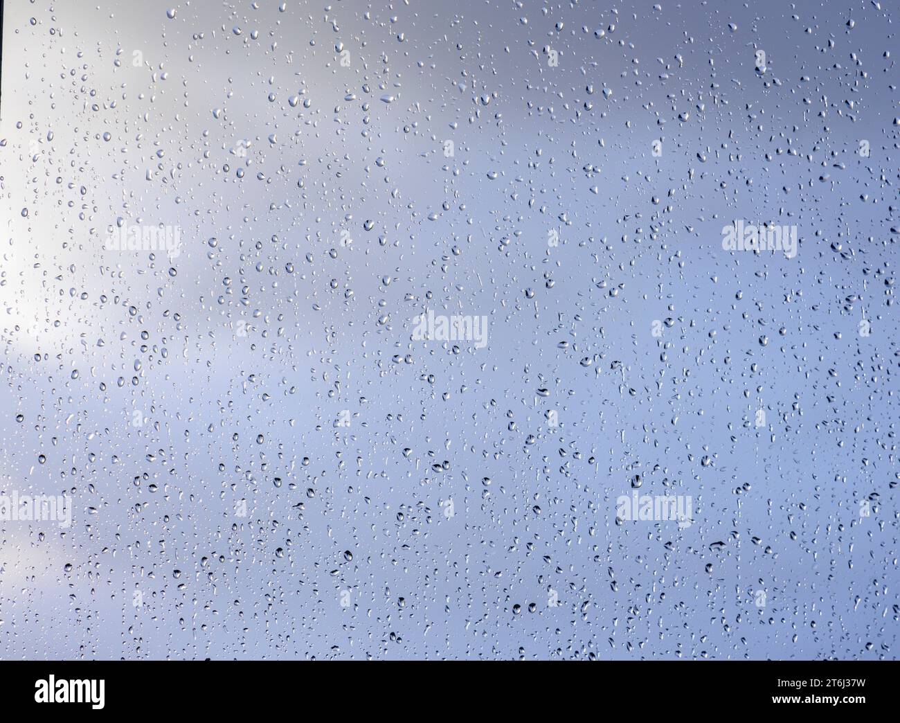 Gocce di pioggia su un vetro di finestra. Foto Stock