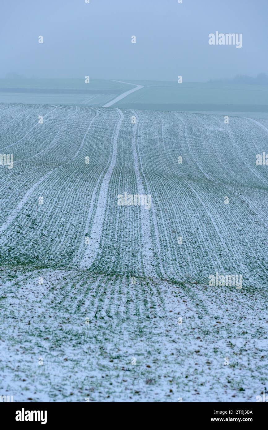 Kraichgau, campo innevato. Foto Stock