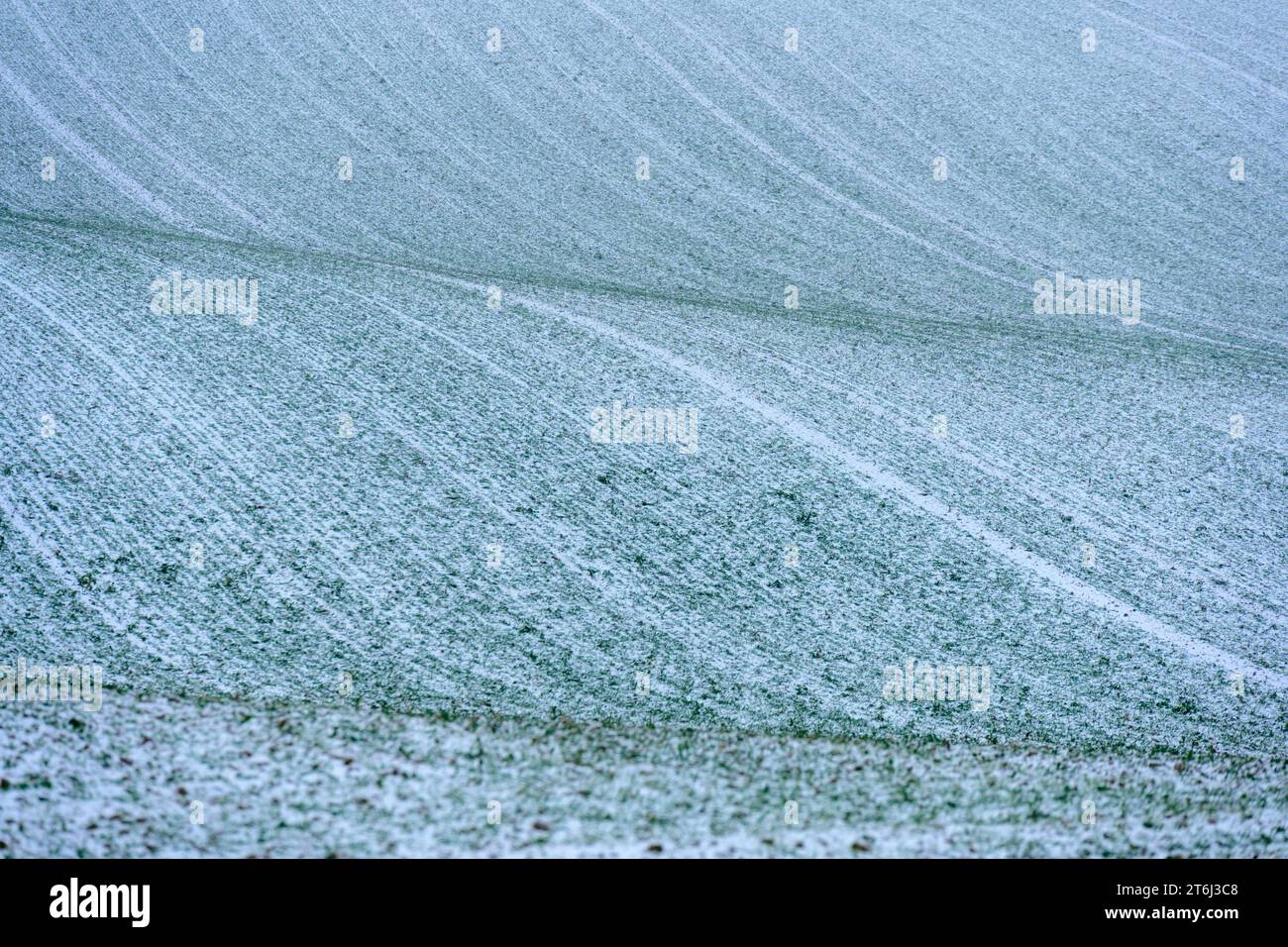 Kraichgau, campo innevato. Foto Stock