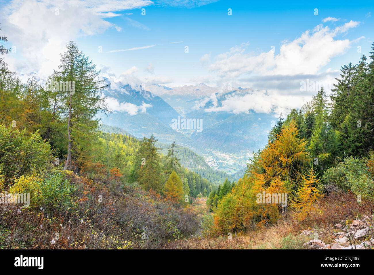 I primi colori autunnali, Europa, Italia, Trentino alto Adige, provincia di Trento, non Valley, distretto di Cles Foto Stock