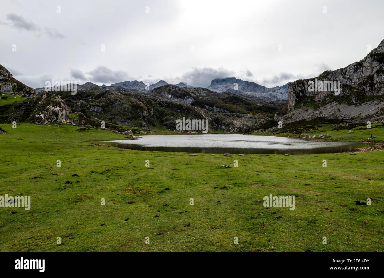 Lago de la Ercina nel Parco Nazionale Picos de Europa, Lagos de Covadonga, Asturias, Principado de Asturias, Spagna Foto Stock