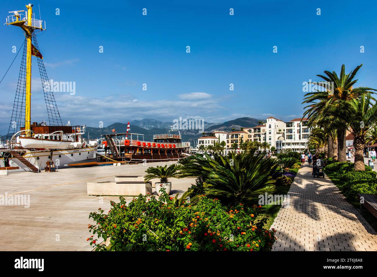 Porticciolo per yacht di lusso, Porto Montenegro, Baia di Cattaro, Montenegro, Tivat, Montenegro Foto Stock