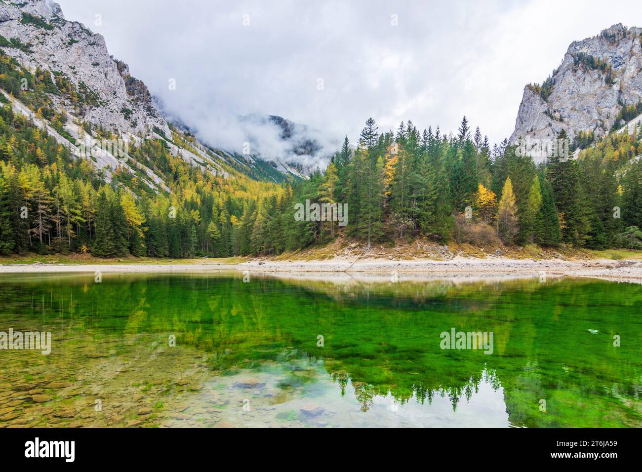Tragöß-Sankt Katharein, Grüner SEE (Lago Verde), foresta colorata in autunno, Alpi a Erzberg Leoben, Stiria, Austria Foto Stock