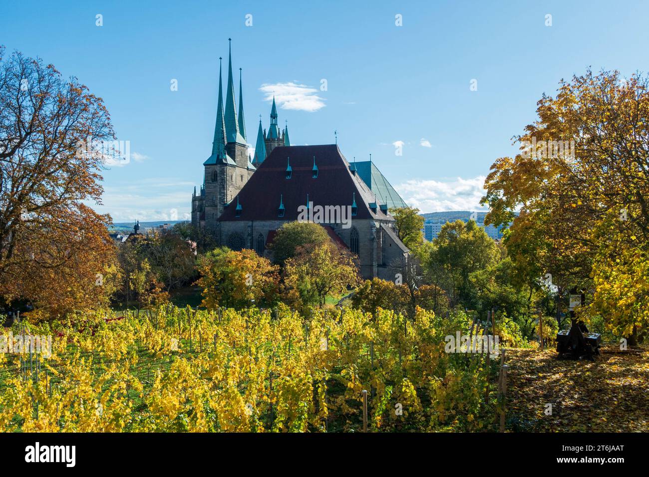 Vigneto autunnale con chiesa di San Severi e cattedrale, Erfurt, Turingia Foto Stock