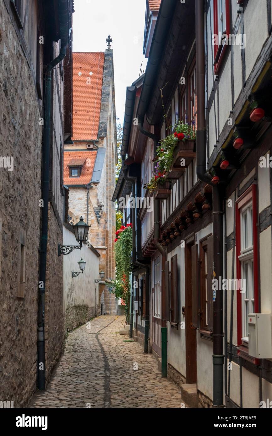Altstadtgasse, Erfurt, Turingia Foto Stock