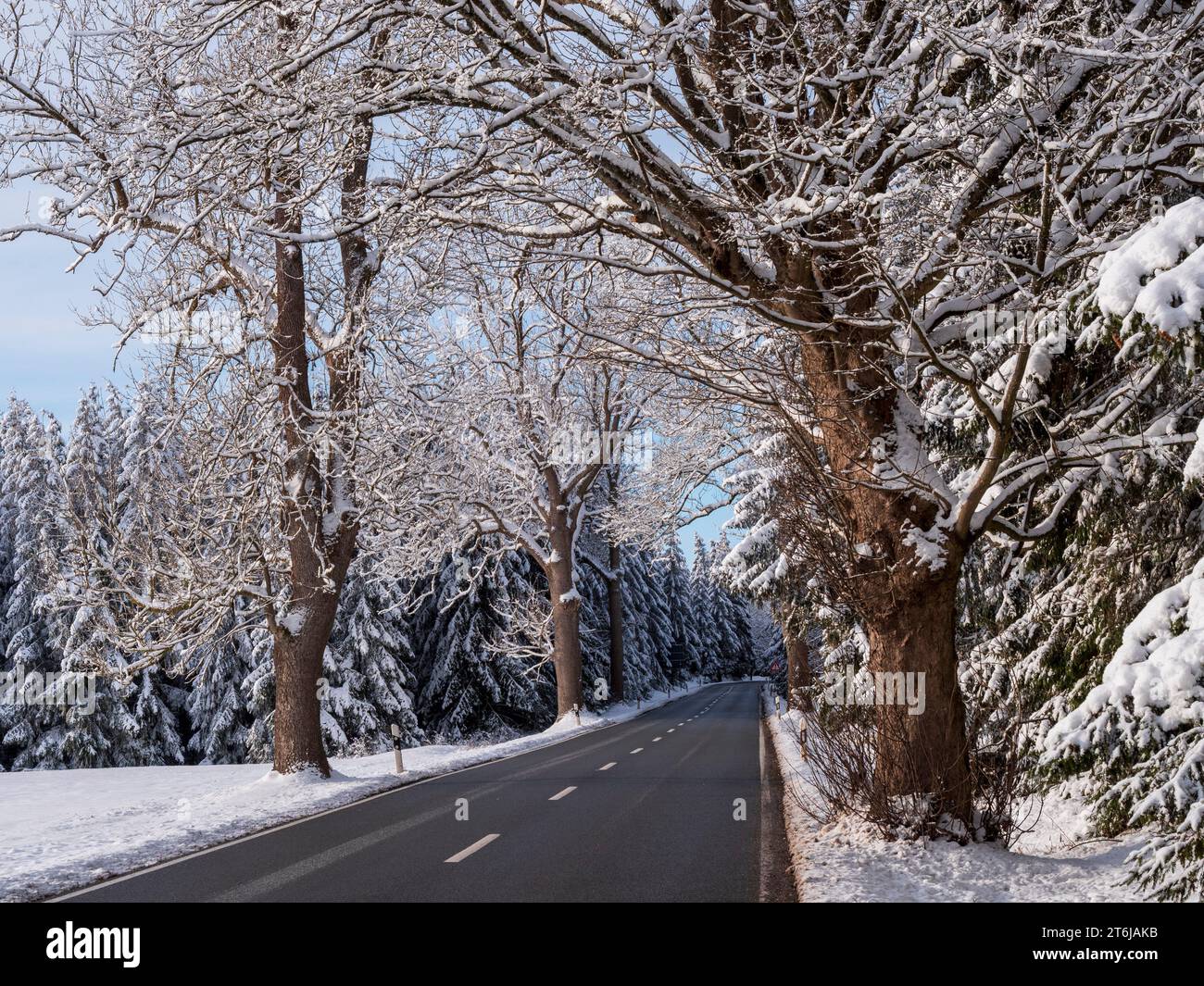 Paesaggio innevato invernale con la strada B 27 vicino a Elend, montagne Harz Foto Stock