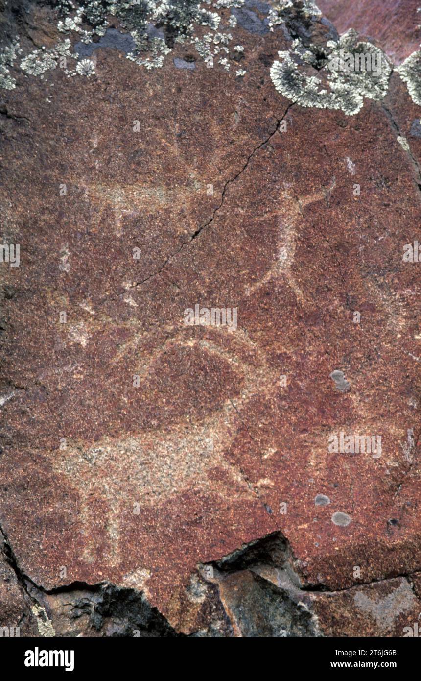 Incisioni rupestri di Buffalo Eddy, Nez Perce National Historic Park, Washington Foto Stock