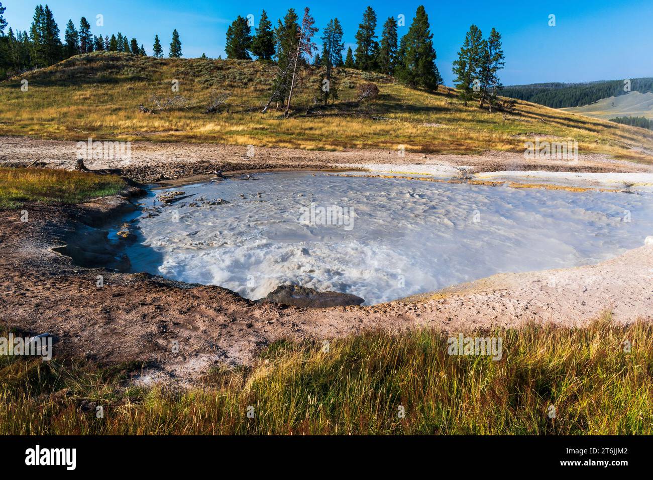 Churning Caldron, piscina termale nel parco nazionale di Yellowstone, Stati Uniti Foto Stock