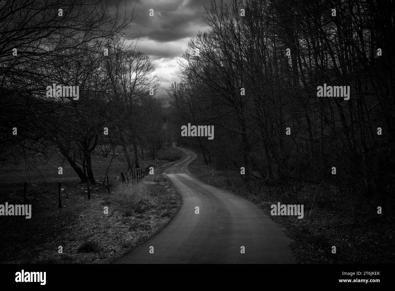 Strada tortuosa e scura, effetto grunge e spettrale per il tema Halloween, nebbia per un effetto raccapricciante. Foto Stock