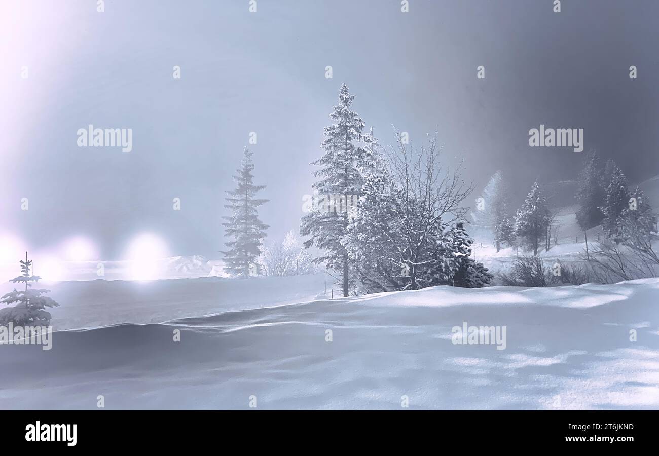 Le forti nevicate regalano un lunatico paradiso invernale Foto Stock