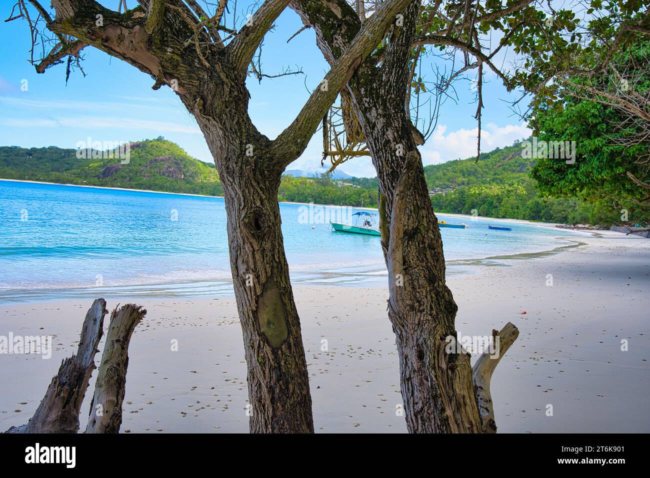 Spiaggia soleggiata e di sabbia bianca, barca da pesca ormeggiata, enormi rocce di granito tra il tronco degli alberi a Baie Lazare Beach, Mahe, Seychelles Foto Stock