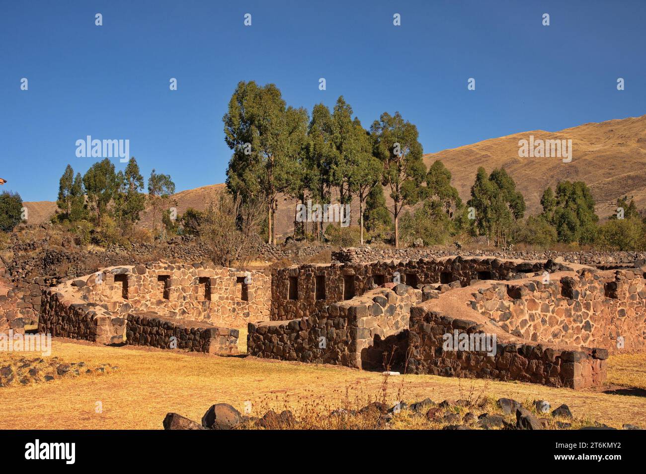Parco archeologico "Wiracocha" nelle rovine di Raqchi Foto Stock