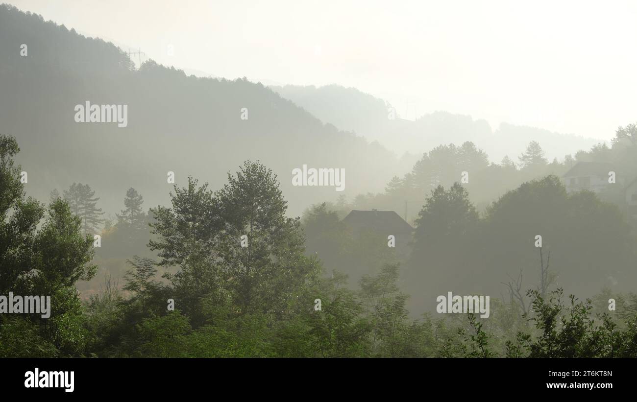 Foresta autunnale di foggy in Bosnia ed Erzegovina Foto Stock