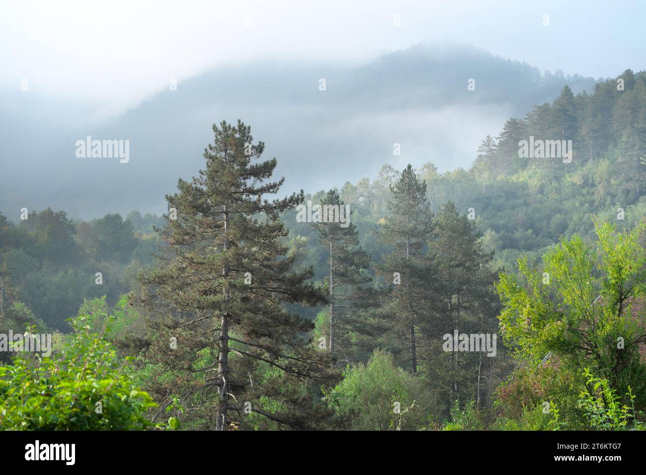 Paesaggio montuoso autunnale foggy in Bosnia ed Erzegovina Foto Stock