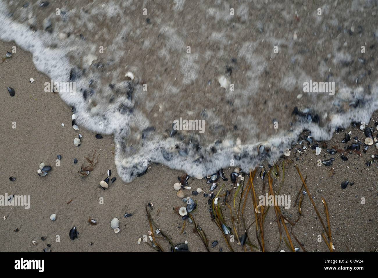 Interessanti nature morte sulla costa del Mar Baltico nel Meclemburgo-Vorpommern Foto Stock